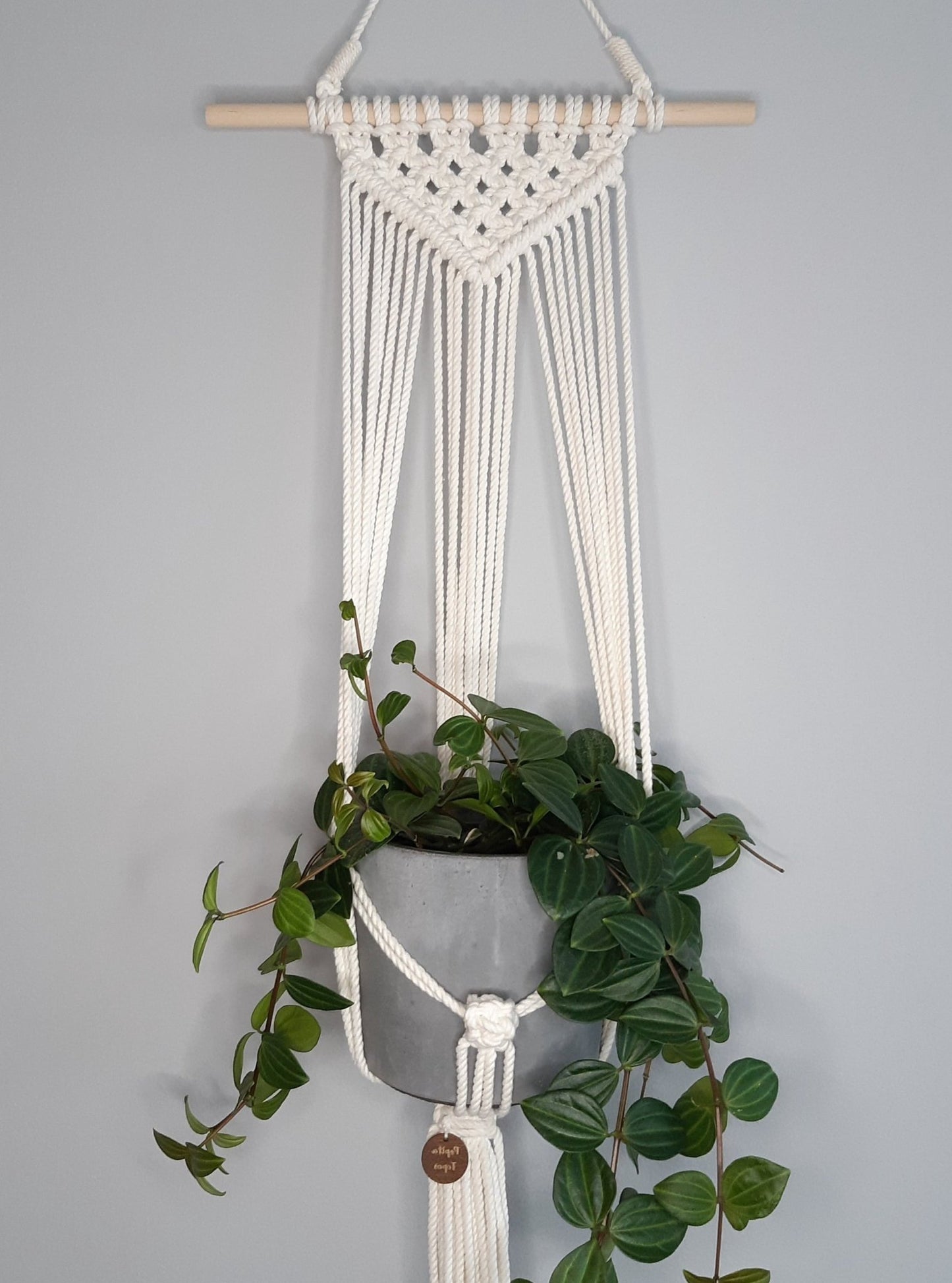 Brad blanco natural - Pepita Topos