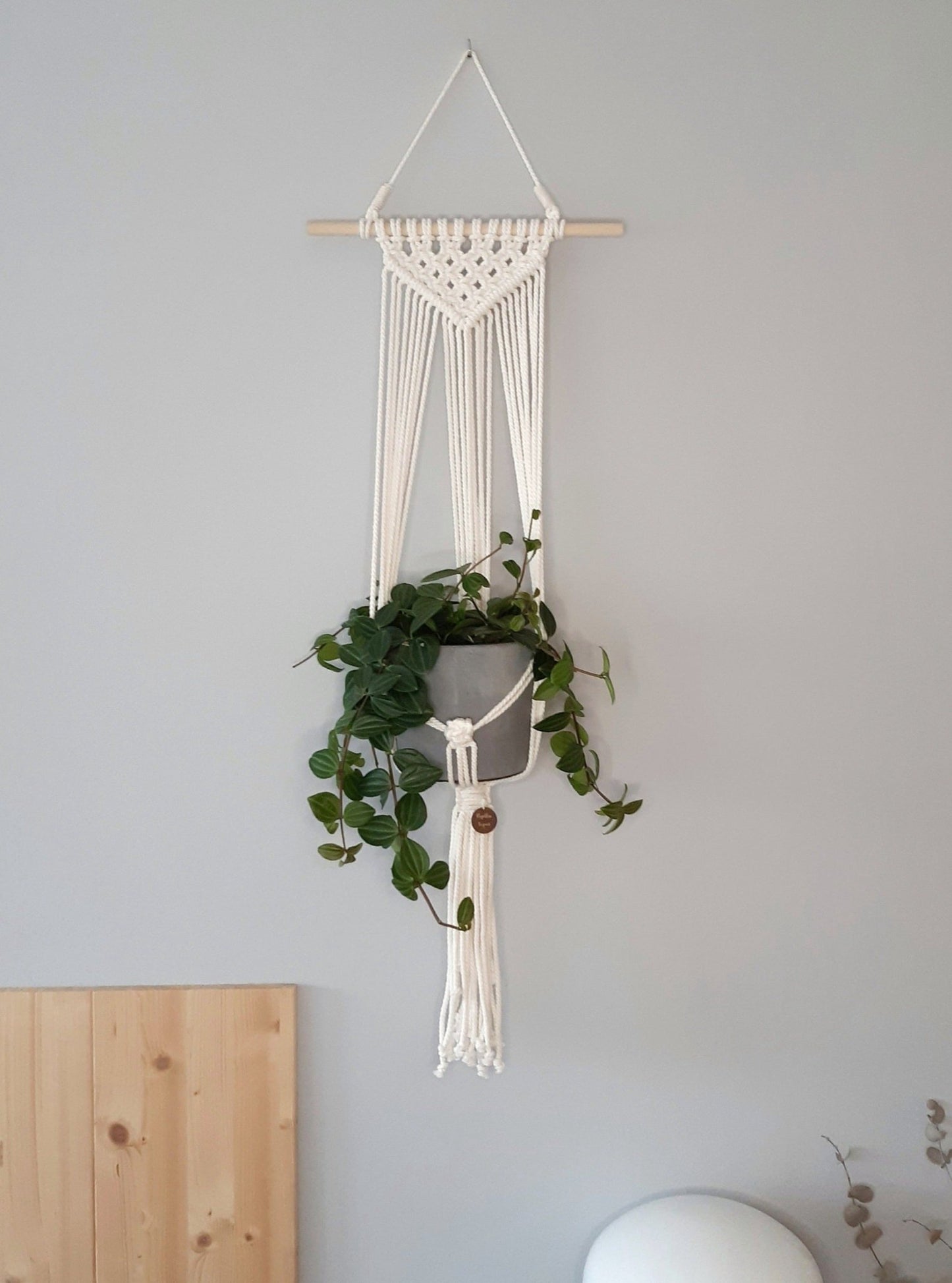 Brad blanco natural - Pepita Topos