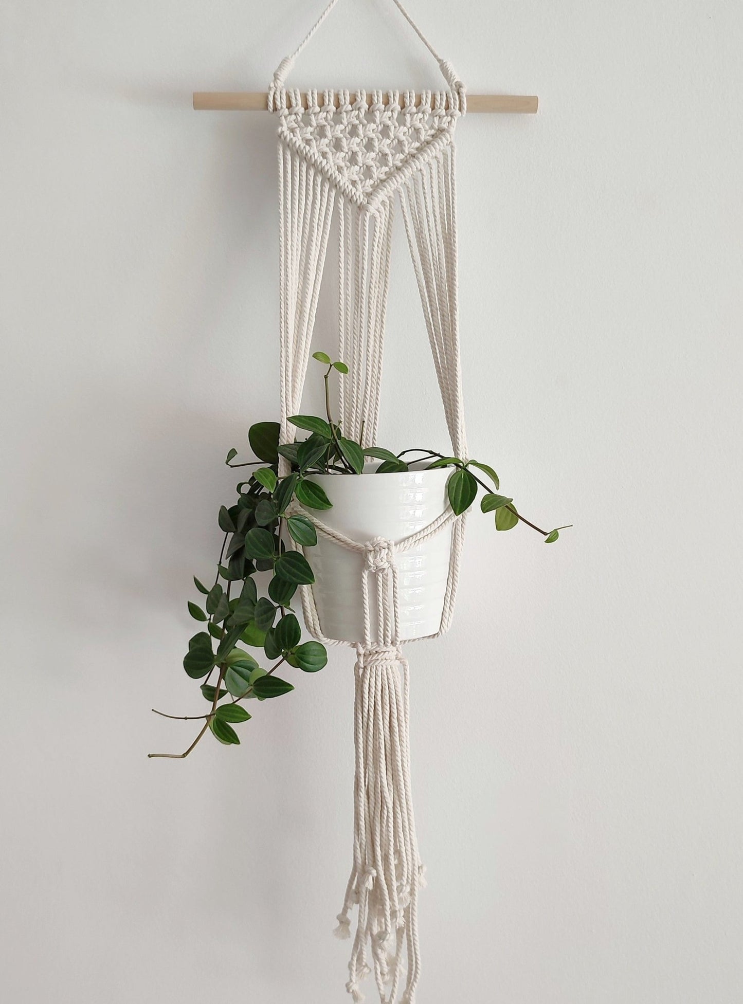 Brad blanco natural - Pepita Topos