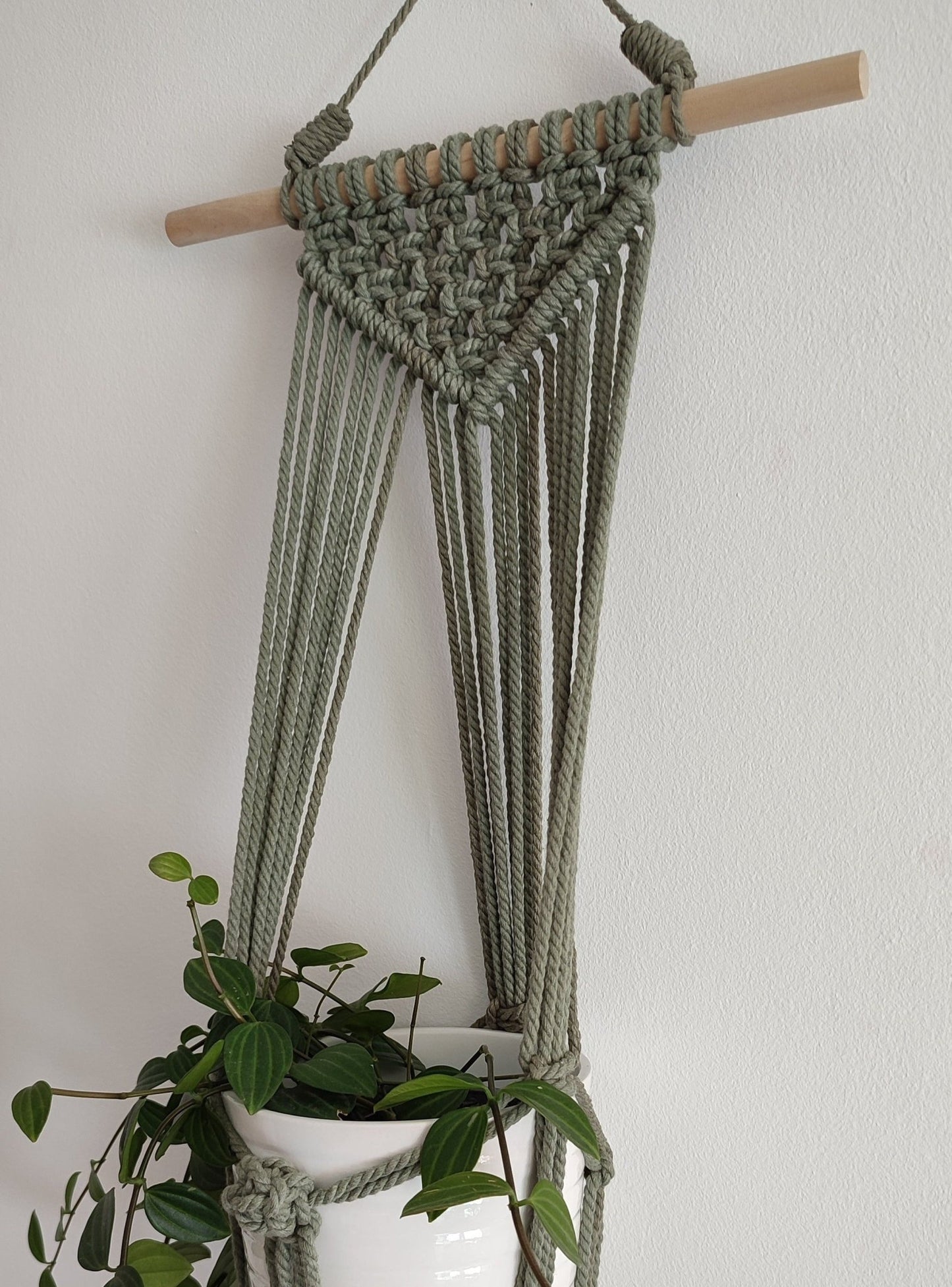 Brad verde cactus - Pepita Topos