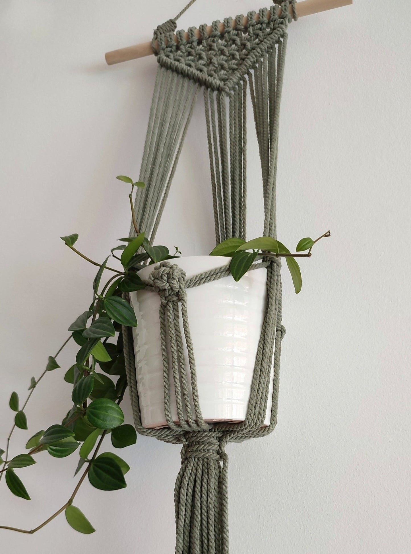 Brad verde cactus - Pepita Topos